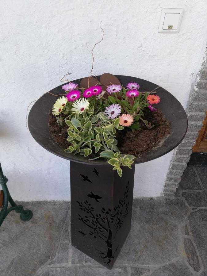 Fruehstueckspension Alpenrose Bed & Breakfast Iselsberg Exterior photo