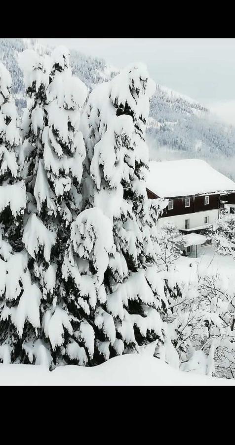 Fruehstueckspension Alpenrose Bed & Breakfast Iselsberg Exterior photo